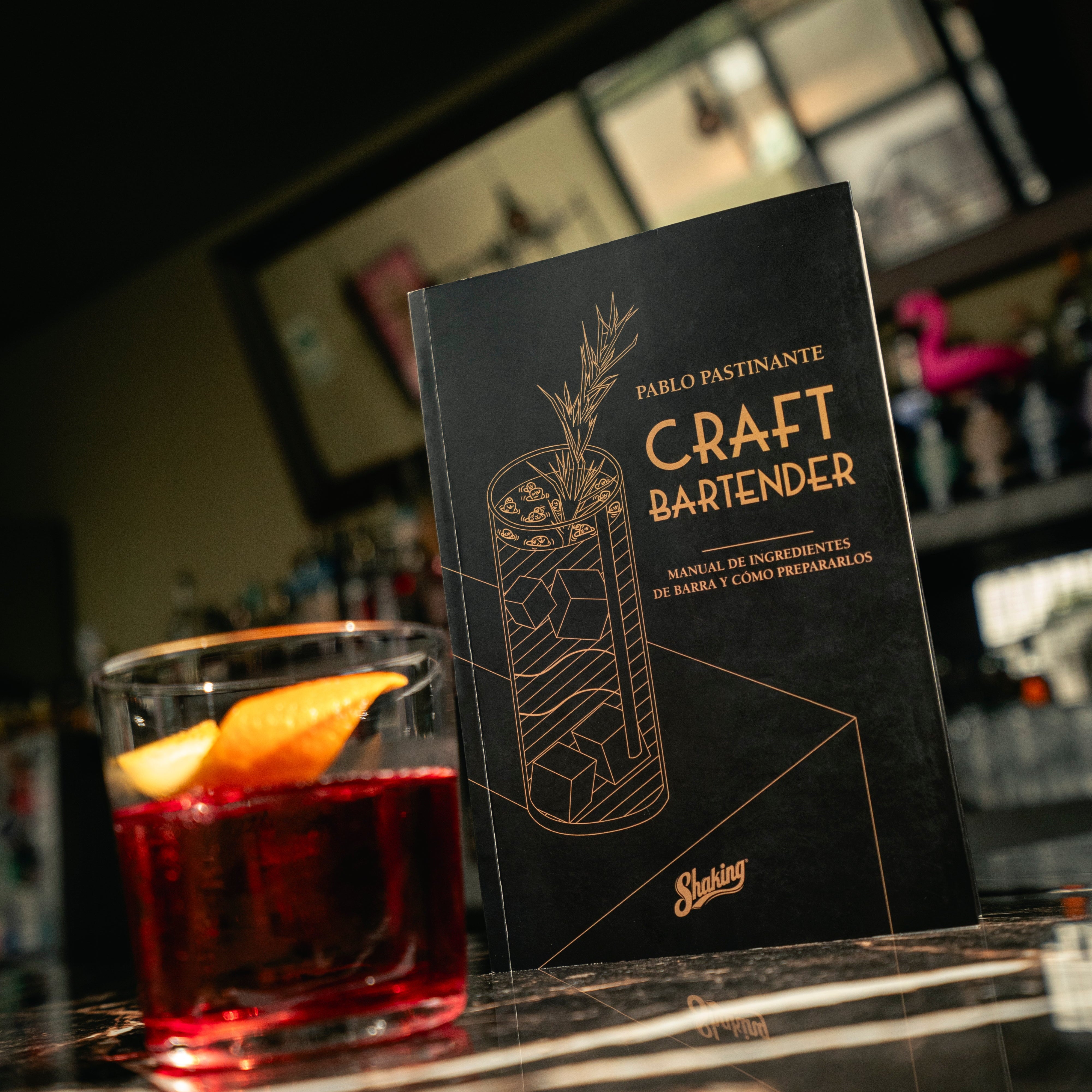 Libro Craft Bartender Shaking