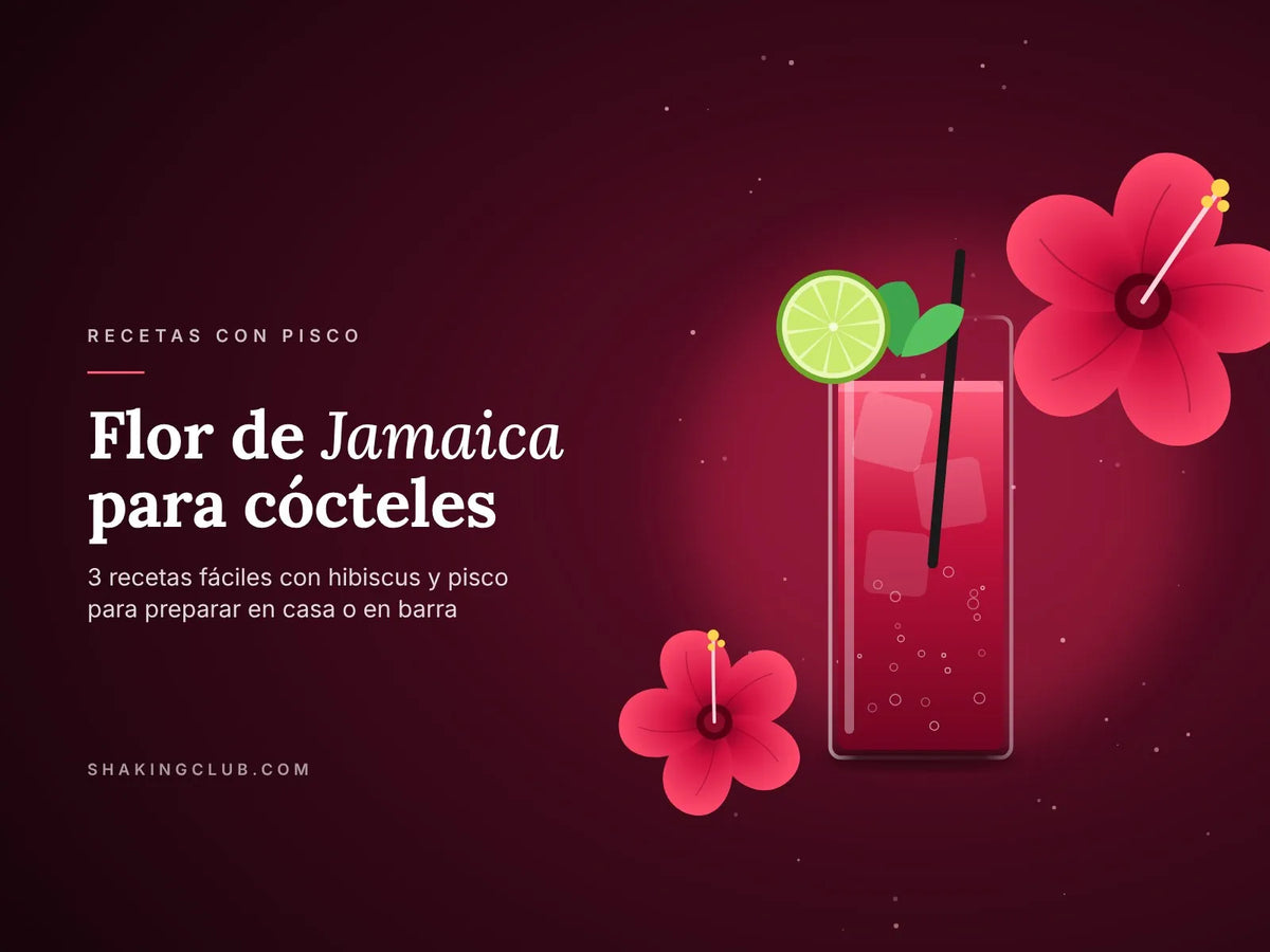 Flor de Jamaica para cócteles: trago rojo de hibiscus con pisco – Shaking